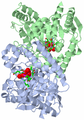 Image Asym./Biol. Unit - sites