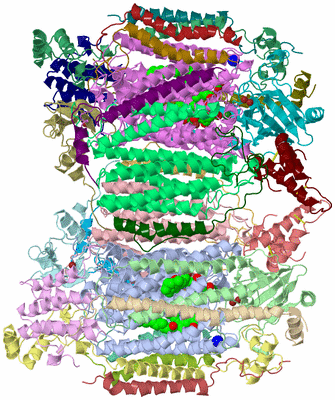 Image Asym./Biol. Unit