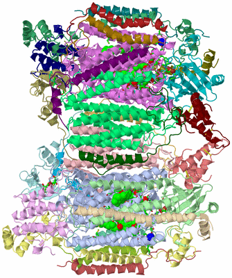 Image Asym./Biol. Unit - sites