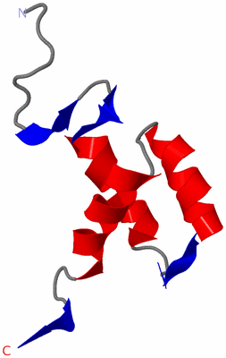 Image NMR Structure - model 1