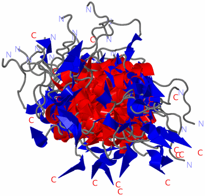 Image NMR Structure - all models