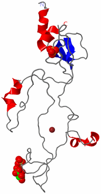 Image Asymmetric Unit