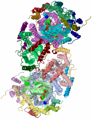 Image Asym./Biol. Unit