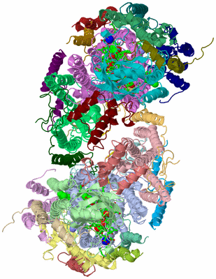 Image Asym./Biol. Unit - sites