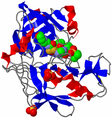 Image Asym./Biol. Unit