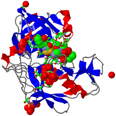 Image Asym./Biol. Unit - sites