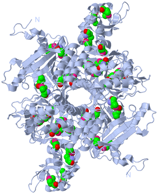 Image Biol. Unit 1 - sites