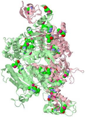 Image Biological Unit 2