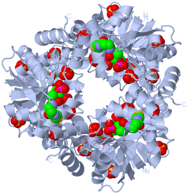 Image Biological Unit 1