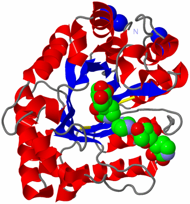 Image Asym./Biol. Unit