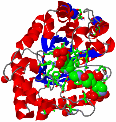 Image Asym./Biol. Unit - sites