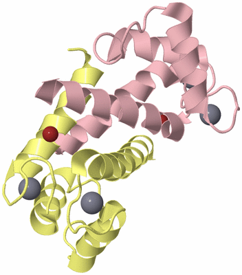 Image Biological Unit 1