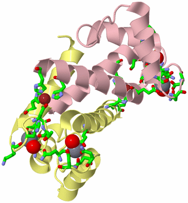 Image Biol. Unit 1 - sites