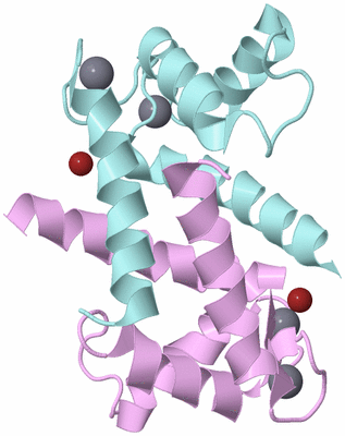 Image Biological Unit 2