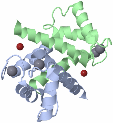 Image Biological Unit 3