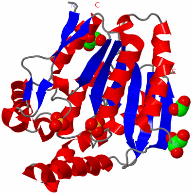 Image Asym./Biol. Unit