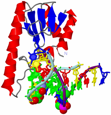 Image Asym./Biol. Unit