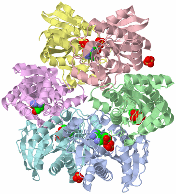 Image Asym./Biol. Unit