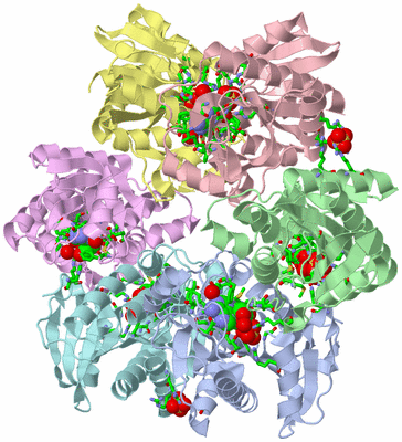 Image Asym./Biol. Unit - sites