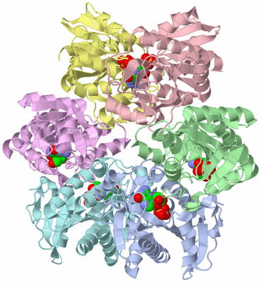 Image Asym./Biol. Unit