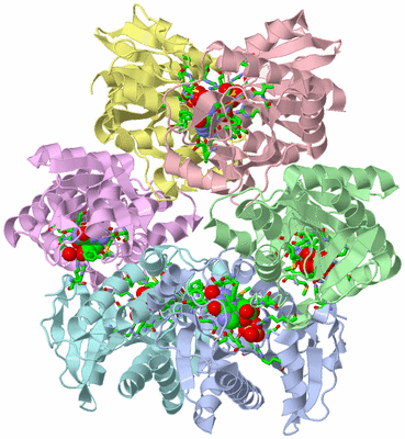 Image Asym./Biol. Unit - sites