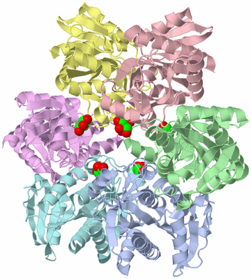 Image Asym./Biol. Unit