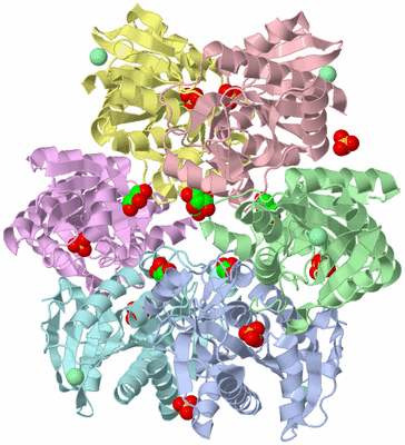 Image Asym./Biol. Unit
