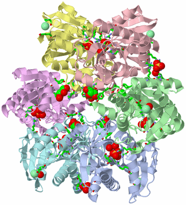 Image Asym./Biol. Unit - sites