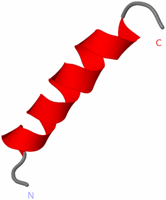 Image NMR Structure - model 1