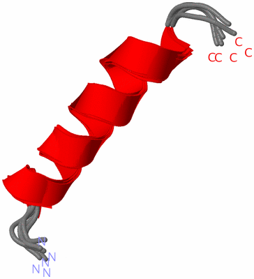 Image NMR Structure - all models