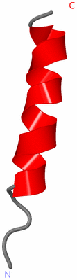 Image NMR Structure - model 1