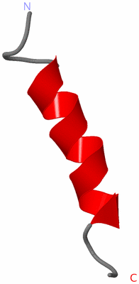 Image NMR Structure - model 1