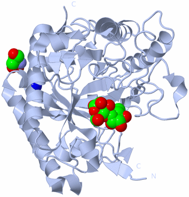 Image Biological Unit 1