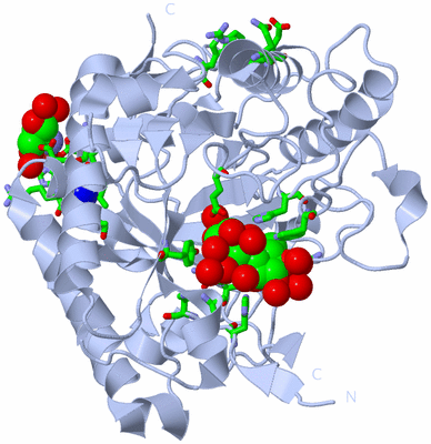 Image Biol. Unit 1 - sites