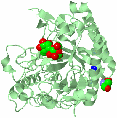 Image Biological Unit 2