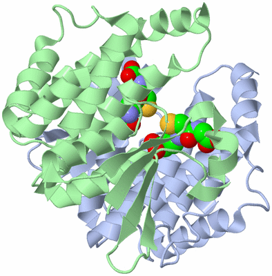 Image Asym./Biol. Unit