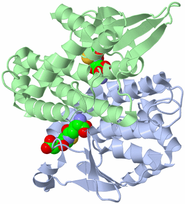 Image Asym./Biol. Unit