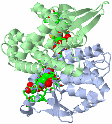 Image Asym./Biol. Unit - sites