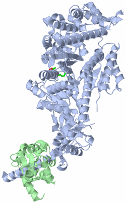 Image Asym./Biol. Unit - sites