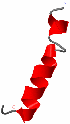 Image NMR Structure - model 1