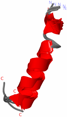 Image NMR Structure - all models