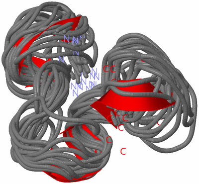 Image NMR Structure - all models