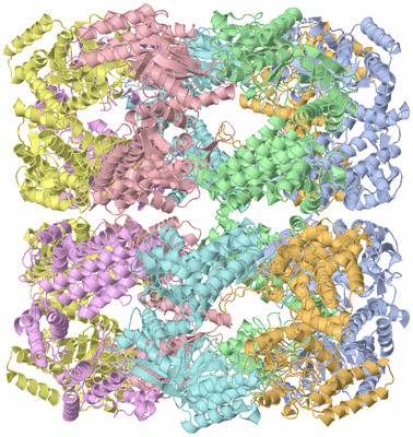 Image Biological Unit 1