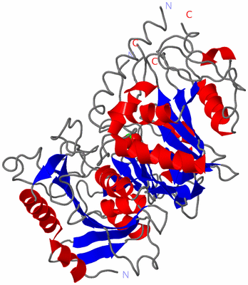 Image Asym./Biol. Unit