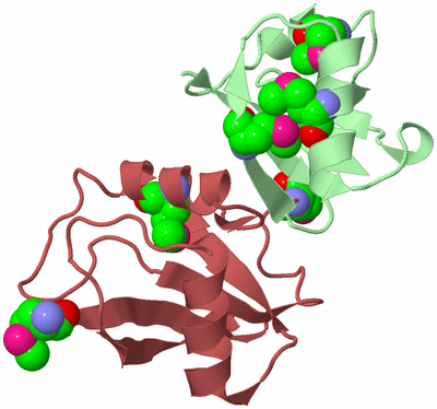 Image Biological Unit 2