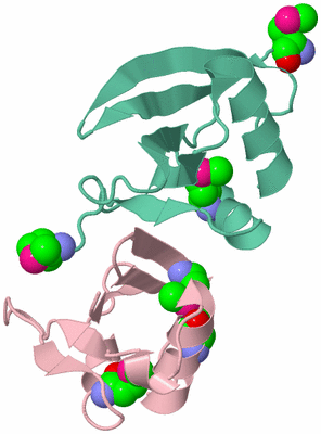 Image Biological Unit 3