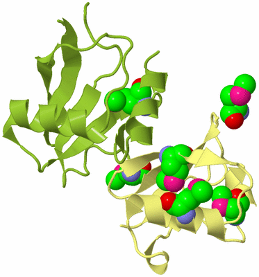 Image Biological Unit 4