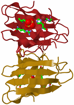 Image Biol. Unit 1 - sites