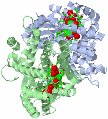 Image Asym./Biol. Unit - sites