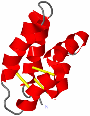 Image NMR Structure - model 1